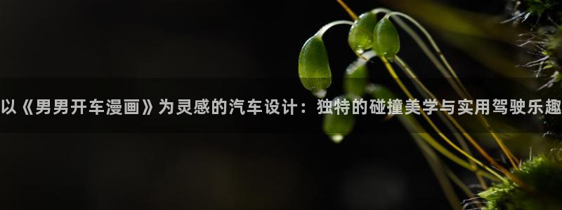 babylove贝勒漫画：以《男男开车漫画》为灵感的汽车设计：独特的碰撞美学与实用驾驶乐趣